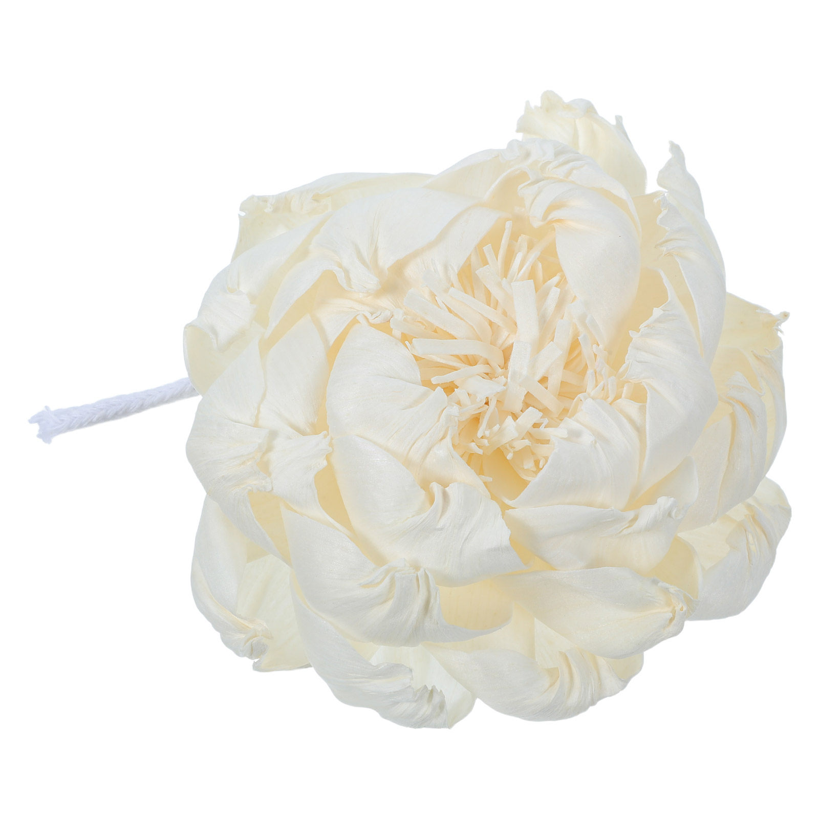 모란꽃 향 디퓨저 12cm 인조 모란꽃 향기로운 장식용 - Home Decor Flowers 리뷰 및 가격