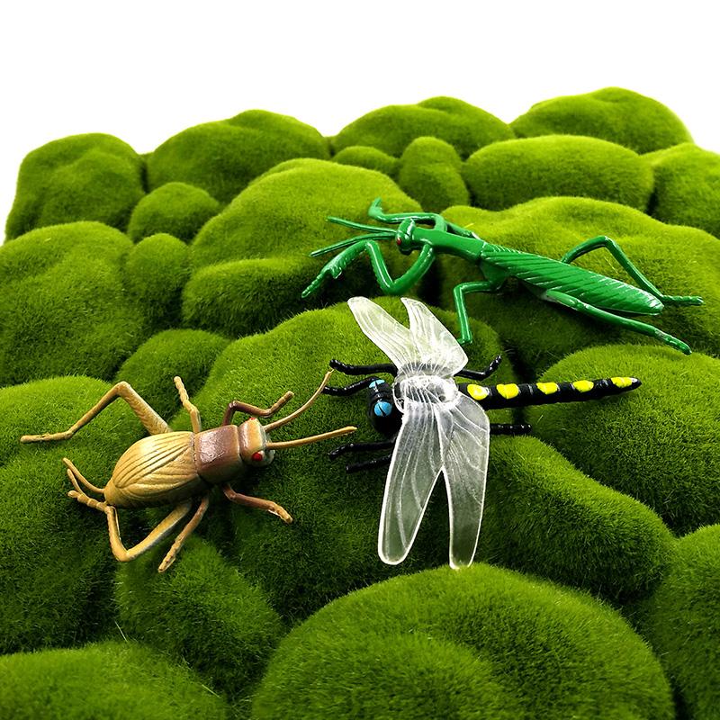 12pcs 곤충 동물 모델 잠자리 거미 개미 사마귀 플 - Home Decor Humacao 리뷰 및 가격