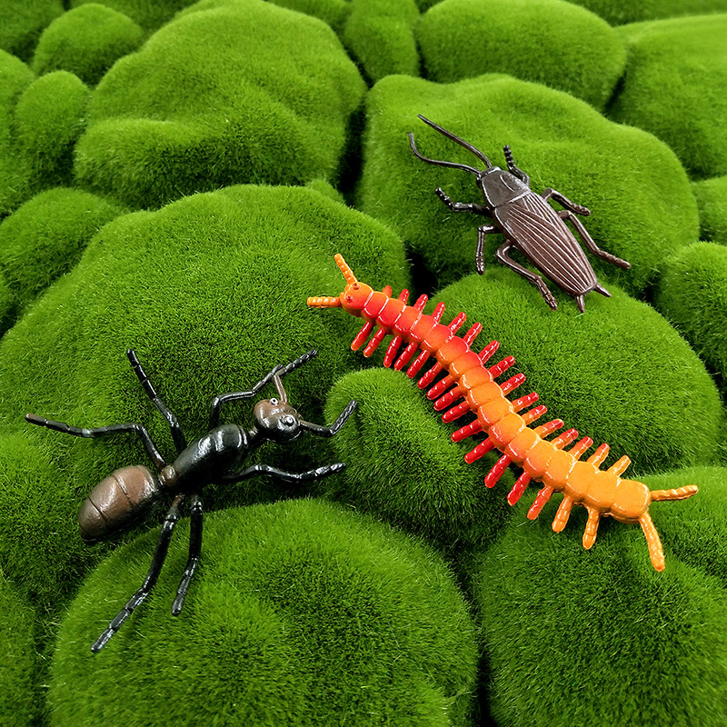 12pcs 곤충 동물 모델 잠자리 거미 개미 사마귀 플 - Home Decor Humacao 리뷰 및 가격