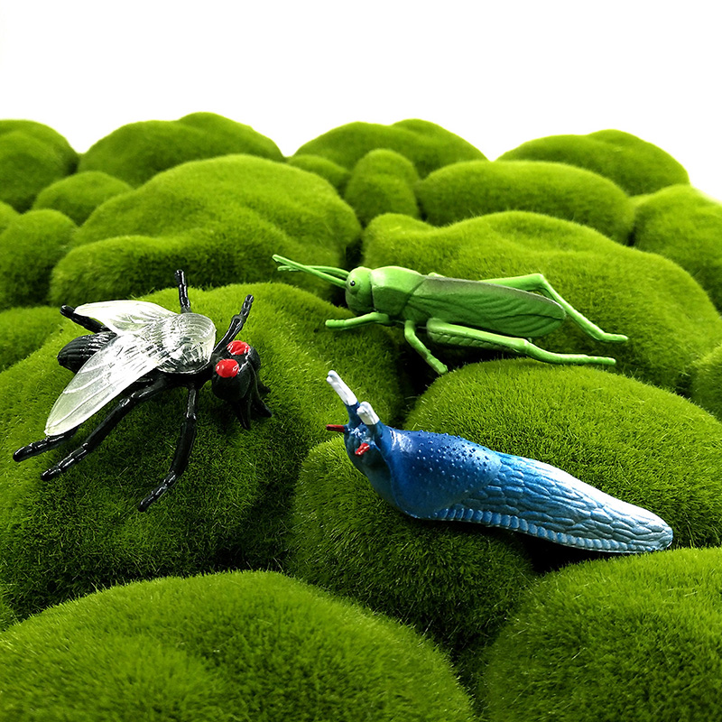 12pcs 곤충 동물 모델 잠자리 거미 개미 사마귀 플 - Home Decor Humacao 리뷰 및 가격